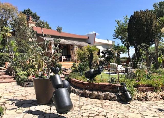La Cactee Singuliere Acomodação com café da manhã Béziers Exterior foto