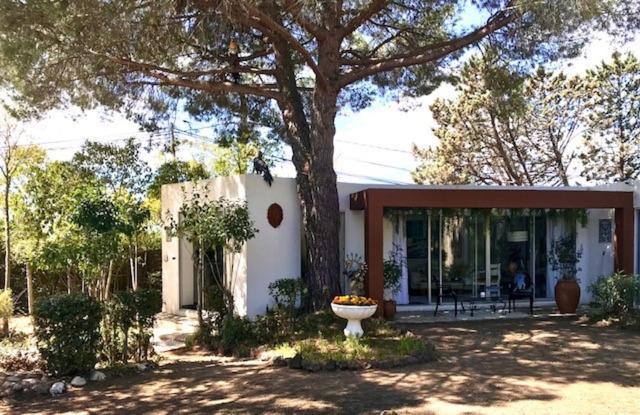 La Cactee Singuliere Acomodação com café da manhã Béziers Exterior foto